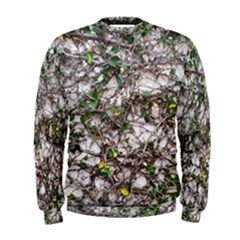 Climbing Plant At Outdoor Wall Men s Sweatshirt