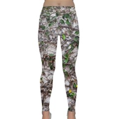 Climbing Plant At Outdoor Wall Classic Yoga Leggings by dflcprintsclothing