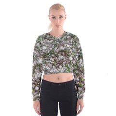 Climbing Plant At Outdoor Wall Cropped Sweatshirt