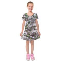 Climbing Plant At Outdoor Wall Kids  Short Sleeve Velvet Dress by dflcprintsclothing