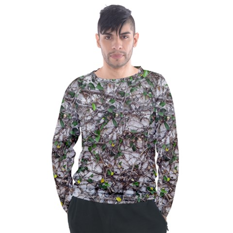 Climbing Plant At Outdoor Wall Men s Long Sleeve Raglan T-shirt by dflcprintsclothing