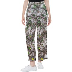 Climbing Plant At Outdoor Wall Women s Pants  by dflcprintsclothing