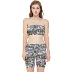 Climbing Plant At Outdoor Wall Stretch Shorts And Tube Top Set