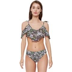 Climbing Plant At Outdoor Wall Ruffle Edge Tie Up Bikini Set	 by dflcprintsclothing