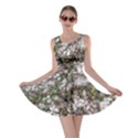 Climbing Plant At Outdoor Wall Skater Dress View1