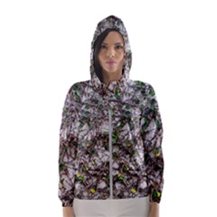 Climbing Plant At Outdoor Wall Women s Hooded Windbreaker by dflcprintsclothing