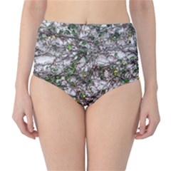 Climbing Plant At Outdoor Wall Classic High-waist Bikini Bottoms