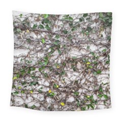 Climbing Plant At Outdoor Wall Square Tapestry (large)