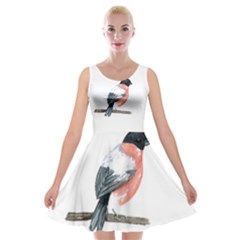 Bullfinch T- Shirt White Look Calm Bullfinch 21 T- Shirt Velvet Skater Dress by EnriqueJohnson