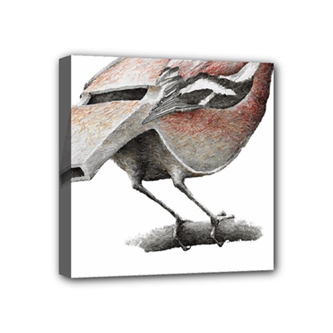 Whistle T- Shirtfinch T- Shirt Mini Canvas 4  X 4  (stretched) by ZUXUMI