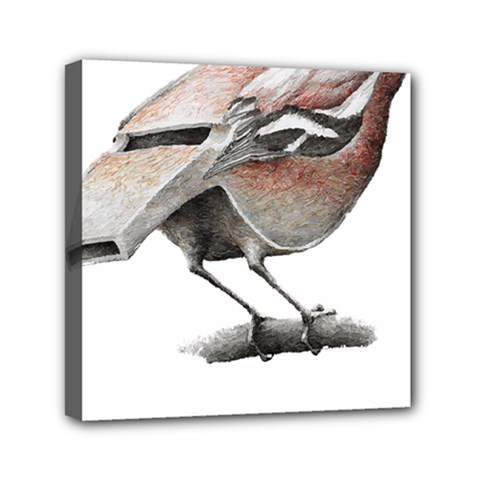 Whistle T- Shirtfinch T- Shirt Mini Canvas 6  X 6  (stretched) by ZUXUMI