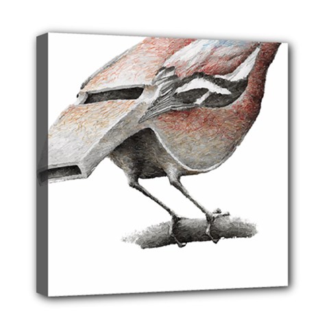 Whistle T- Shirtfinch T- Shirt Mini Canvas 8  X 8  (stretched) by ZUXUMI