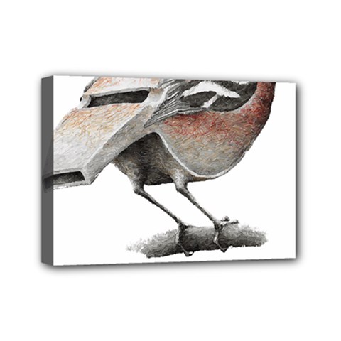 Whistle T- Shirtfinch T- Shirt Mini Canvas 7  X 5  (stretched) by ZUXUMI