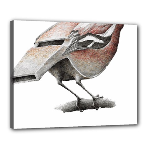 Whistle T- Shirtfinch T- Shirt Canvas 20  X 16  (stretched) by ZUXUMI