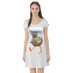 Ostrich T-shirtsteal Your Heart Ostrich 36 T-shirt Short Sleeve Skater Dress by EnriqueJohnson