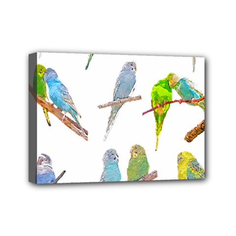 Parakeet T-shirtlots Of Colorful Parakeets - Cute Little Birds T-shirt Mini Canvas 7  X 5  (stretched) by EnriqueJohnson