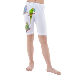 Parakeet T-shirtlots Of Colorful Parakeets - Cute Little Birds T-shirt Kids  Mid Length Swim Shorts