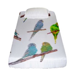 Parakeet T-shirtlots Of Colorful Parakeets - Cute Little Birds T-shirt Fitted Sheet (Single Size)