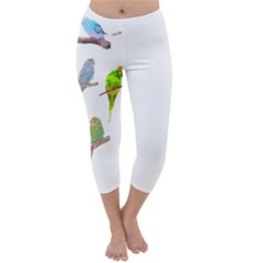 Parakeet T-shirtlots Of Colorful Parakeets - Cute Little Birds T-shirt Capri Winter Leggings 