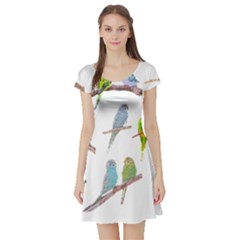 Parakeet T-shirtlots Of Colorful Parakeets - Cute Little Birds T-shirt Short Sleeve Skater Dress