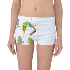 Parakeet T-shirtlots Of Colorful Parakeets - Cute Little Birds T-shirt Boyleg Bikini Bottoms