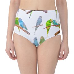 Parakeet T-shirtlots Of Colorful Parakeets - Cute Little Birds T-shirt Classic High-Waist Bikini Bottoms