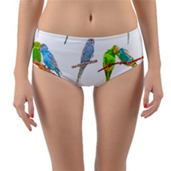 Parakeet T-shirtlots Of Colorful Parakeets - Cute Little Birds T-shirt Reversible Mid-Waist Bikini Bottoms