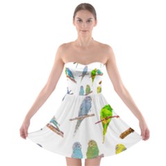 Parakeet T-shirtlots Of Colorful Parakeets - Cute Little Birds T-shirt Strapless Bra Top Dress