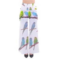 Parakeet T-shirtlots Of Colorful Parakeets - Cute Little Birds T-shirt So Vintage Palazzo Pants