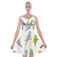 Parakeet T-shirtlots Of Colorful Parakeets - Cute Little Birds T-shirt Velvet Skater Dress