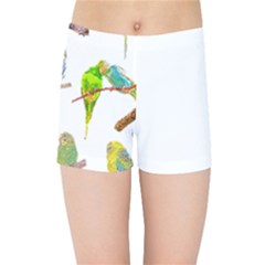 Parakeet T-shirtlots Of Colorful Parakeets - Cute Little Birds T-shirt Kids  Sports Shorts