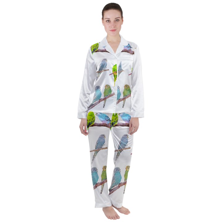 Parakeet T-shirtlots Of Colorful Parakeets - Cute Little Birds T-shirt Women s Long Sleeve Satin Pajamas Set	