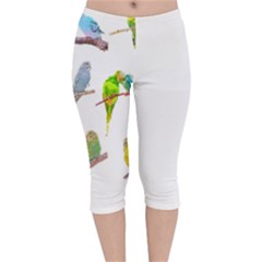 Parakeet T-shirtlots Of Colorful Parakeets - Cute Little Birds T-shirt Velvet Capri Leggings 