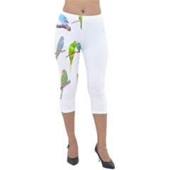 Parakeet T-shirtlots Of Colorful Parakeets - Cute Little Birds T-shirt Lightweight Velour Capri Leggings 