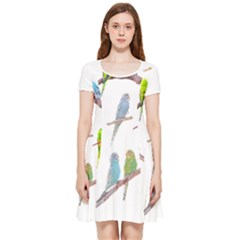 Parakeet T-shirtlots Of Colorful Parakeets - Cute Little Birds T-shirt Inside Out Cap Sleeve Dress