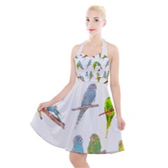 Parakeet T-shirtlots Of Colorful Parakeets - Cute Little Birds T-shirt Halter Party Swing Dress 