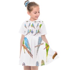 Parakeet T-shirtlots Of Colorful Parakeets - Cute Little Birds T-shirt Kids  Sailor Dress