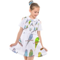 Parakeet T-shirtlots Of Colorful Parakeets - Cute Little Birds T-shirt Kids  Short Sleeve Shirt Dress