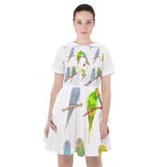 Parakeet T-shirtlots Of Colorful Parakeets - Cute Little Birds T-shirt Sailor Dress