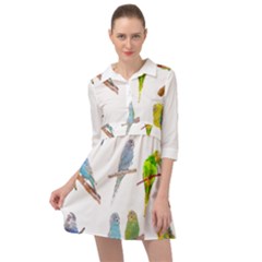 Parakeet T-shirtlots Of Colorful Parakeets - Cute Little Birds T-shirt Mini Skater Shirt Dress