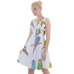 Parakeet T-shirtlots Of Colorful Parakeets - Cute Little Birds T-shirt Knee Length Skater Dress