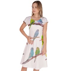 Parakeet T-shirtlots Of Colorful Parakeets - Cute Little Birds T-shirt Classic Short Sleeve Dress