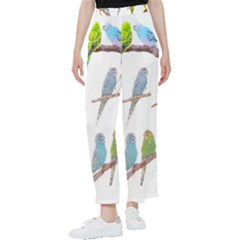 Parakeet T-shirtlots Of Colorful Parakeets - Cute Little Birds T-shirt Women s Pants 