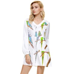 Parakeet T-shirtlots Of Colorful Parakeets - Cute Little Birds T-shirt Tiered Long Sleeve Mini Dress