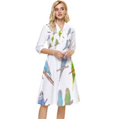 Parakeet T-shirtlots Of Colorful Parakeets - Cute Little Birds T-shirt Classy Knee Length Dress