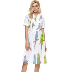 Parakeet T-shirtlots Of Colorful Parakeets - Cute Little Birds T-shirt Button Top Knee Length Dress