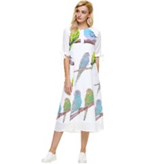 Parakeet T-shirtlots Of Colorful Parakeets - Cute Little Birds T-shirt Bow Sleeve Chiffon Midi Dress