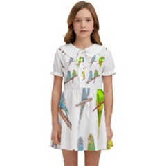 Parakeet T-shirtlots Of Colorful Parakeets - Cute Little Birds T-shirt Kids  Sweet Collar Dress