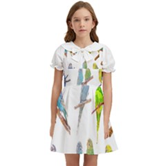 Parakeet T-shirtlots Of Colorful Parakeets - Cute Little Birds T-shirt Kids  Bow Tie Puff Sleeve Dress