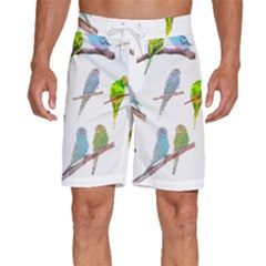 Parakeet T-shirtlots Of Colorful Parakeets - Cute Little Birds T-shirt Men s Beach Shorts